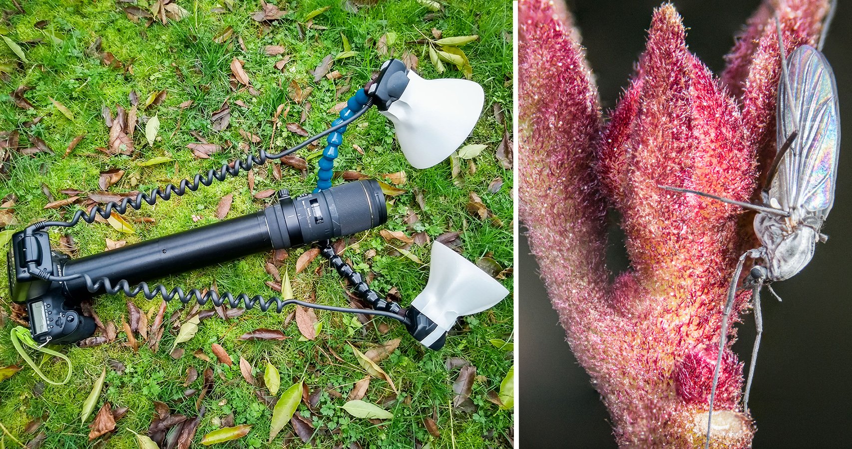 Photographer 3D Printed a 300mm Extension Tube for 5X Macro Photos
