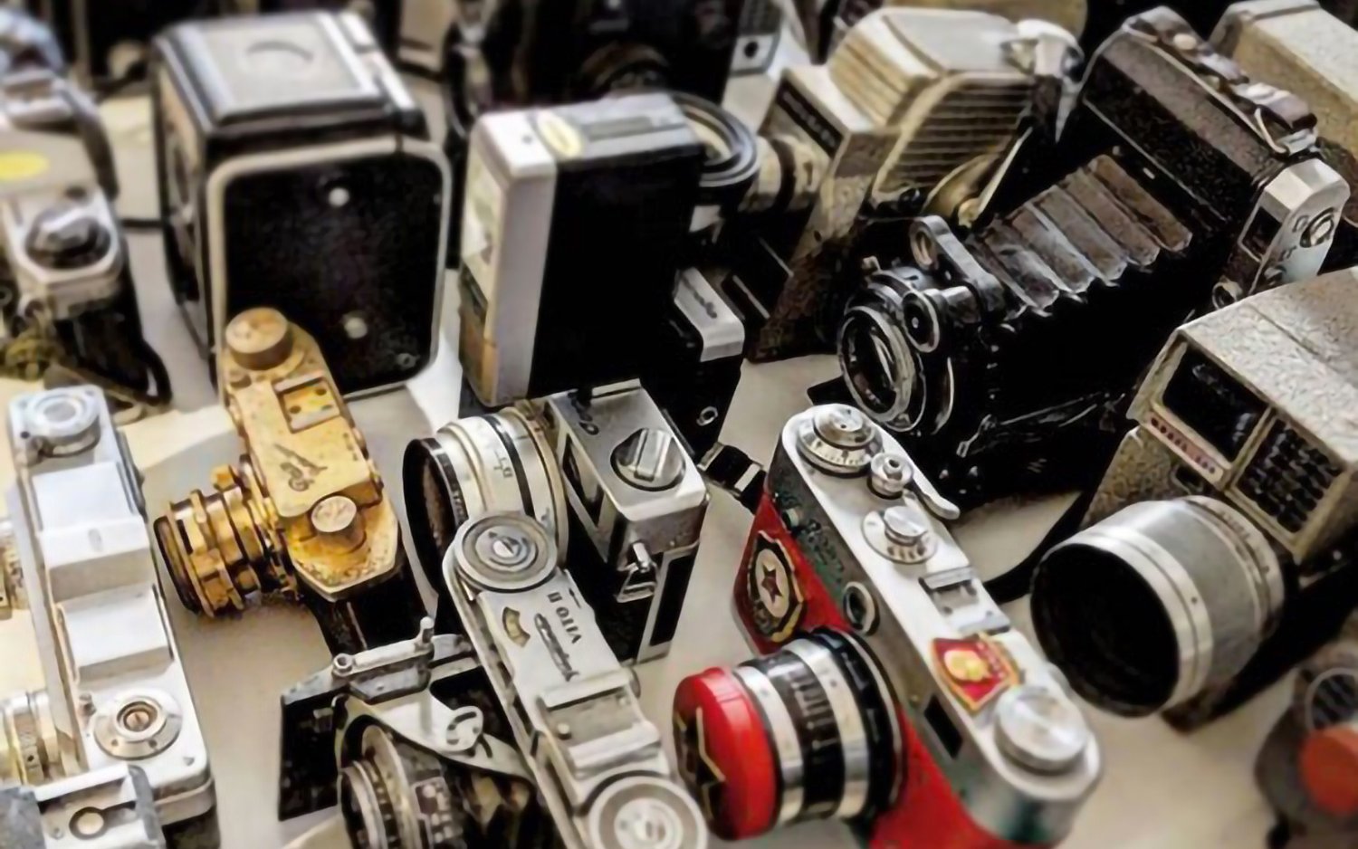 My Vintage Camera Quest: Breathing Life Into 52 Cameras in 52 Weeks