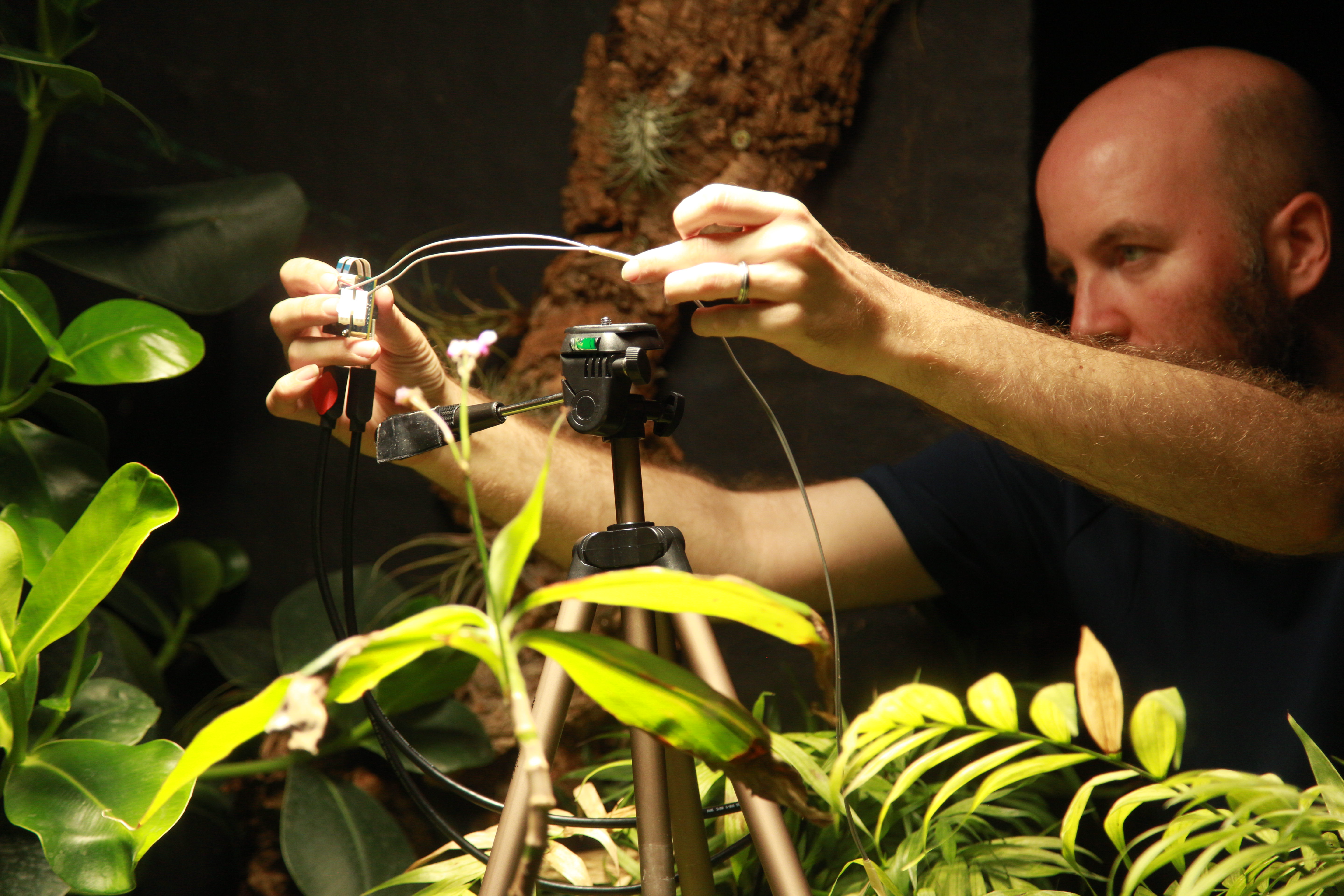 Worlds First Plant-Powered Camera Takes Worlds First Plant-Powered Selfie