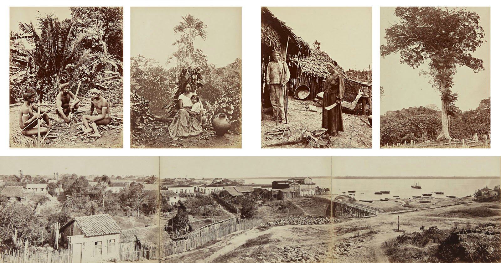 These 150-Year-Old Photos of Brazils Amazon Sold at Auction for $81,000