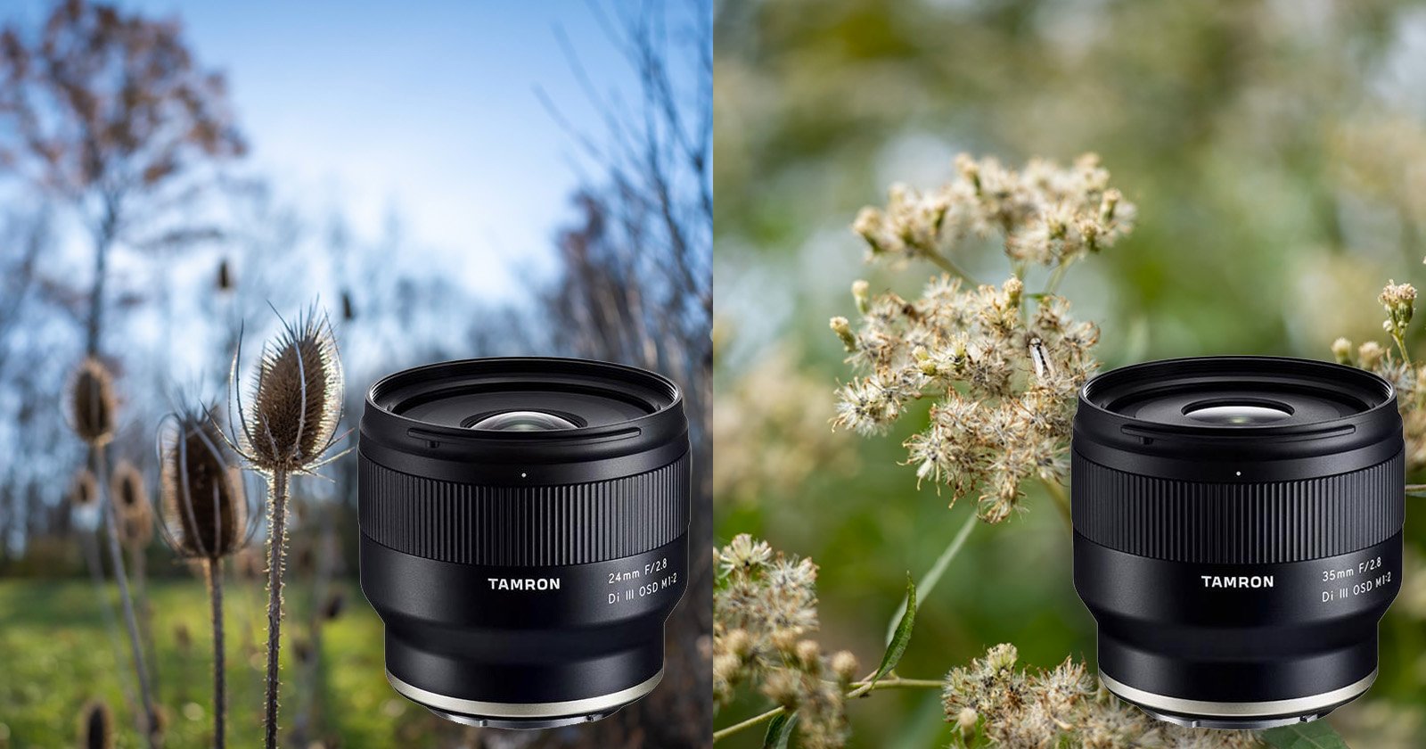 Tamron 24mm f/2.8 and 35mm f/2.8 Review: Compact & Affordable Primes for Sony