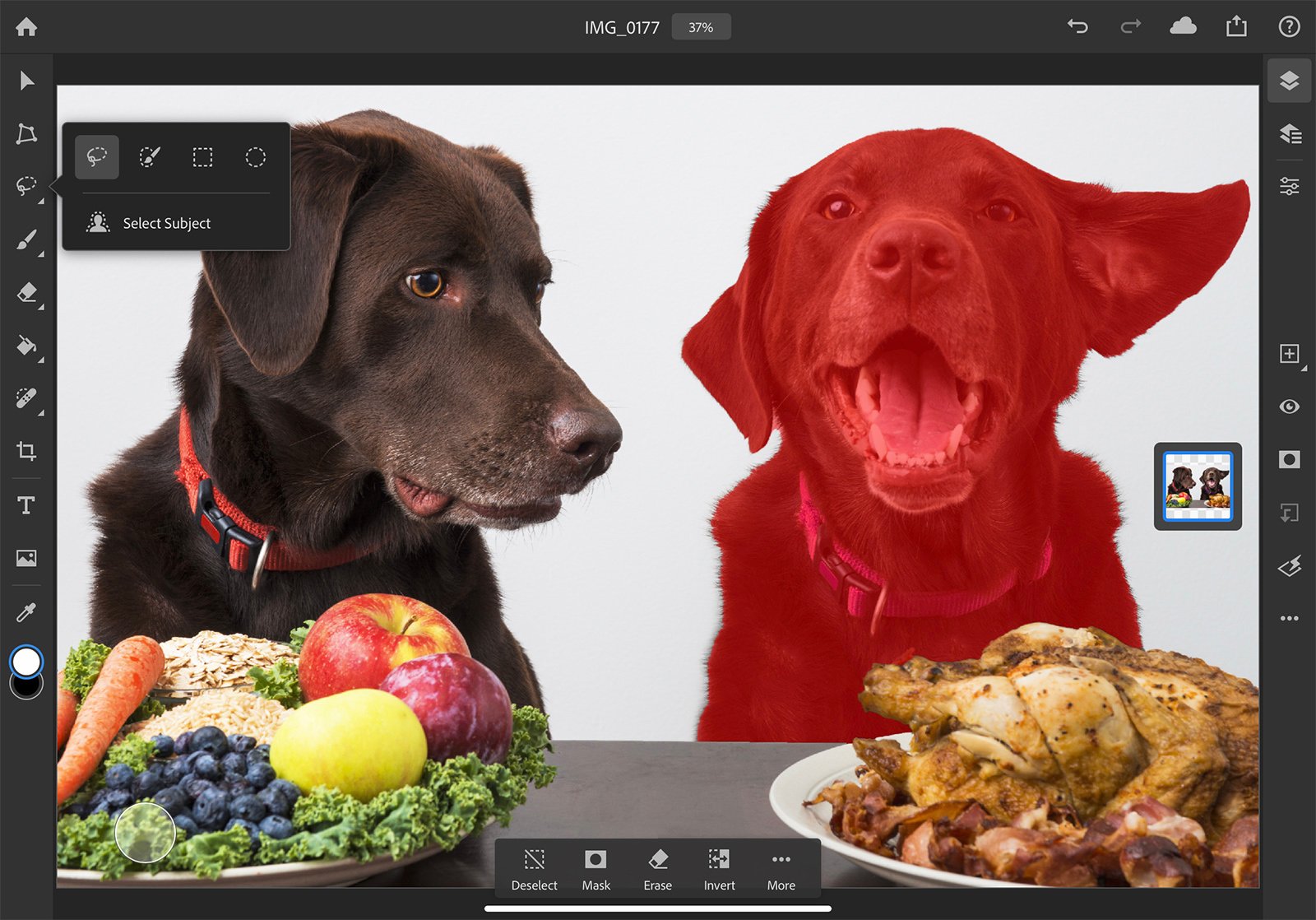 Adobe Adds AI-Powered Subject Select Tool to Photoshop for iPad