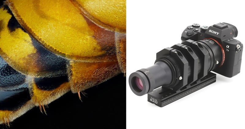 How to Adapt Industrial Lenses for Extreme Macro Photography