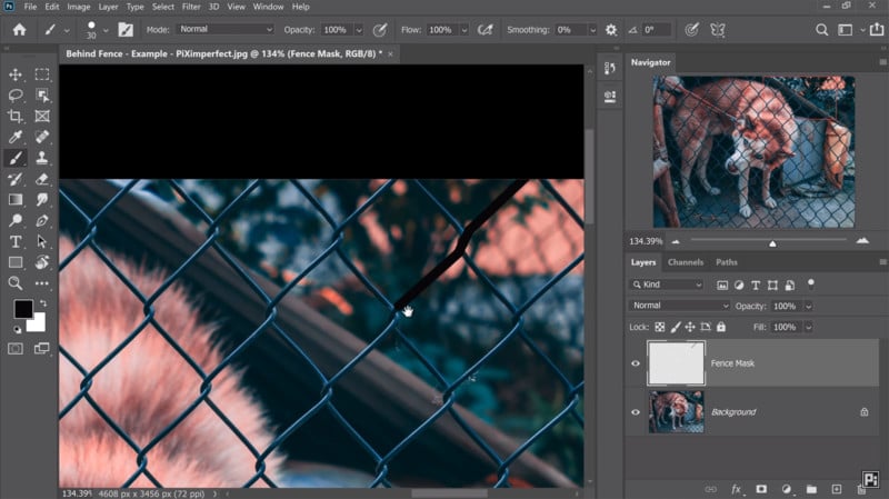 How to Remove a Chain-Link Fence in Photoshop in 3 Easy Steps