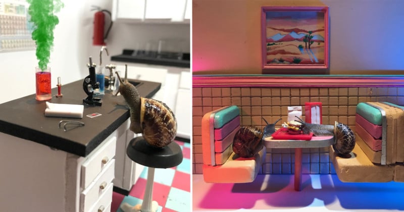 Artistic Duo Create Intricate Miniature Worlds for Creative Snail Photos