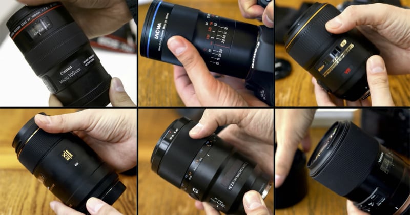 Macro Lens Test: Canon, Nikon, Sony, Laowa, Sigma, and Tamron Compared