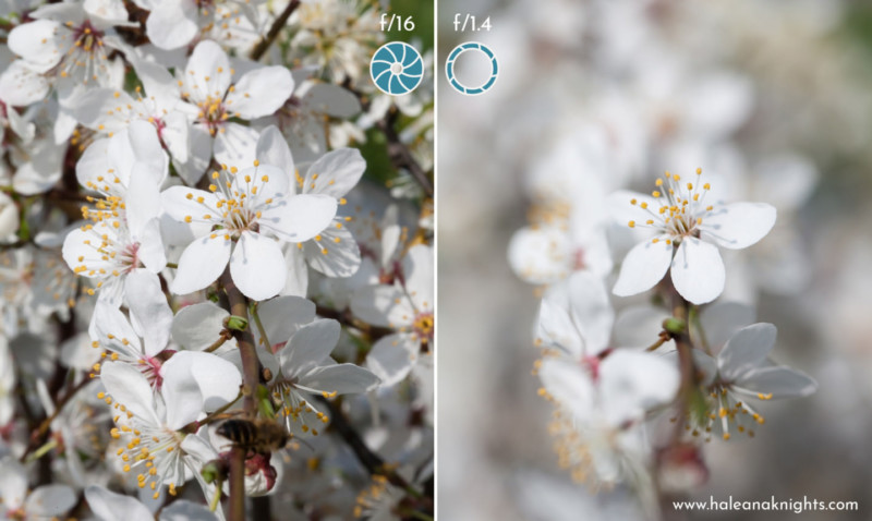 Aperture Example 1 uai 1440x860 1