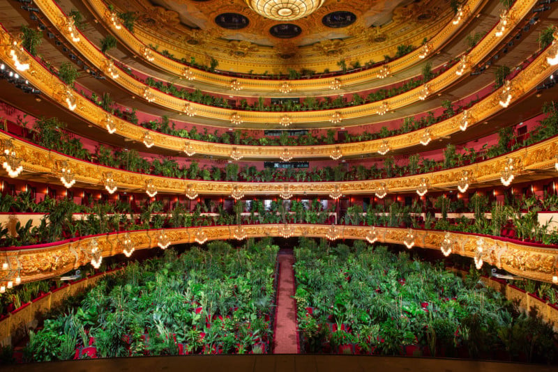 Photos of 2,292 Plants Attending a Live Concert in Barcelona