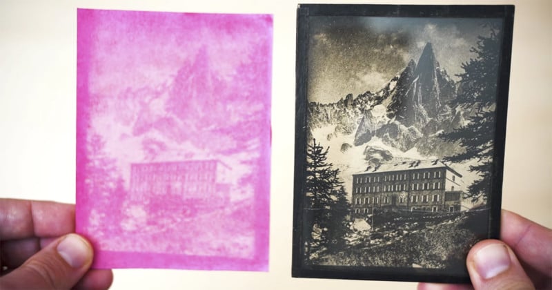 Photographer Creates an Anthotype Photo Print Using Only Beet Juice