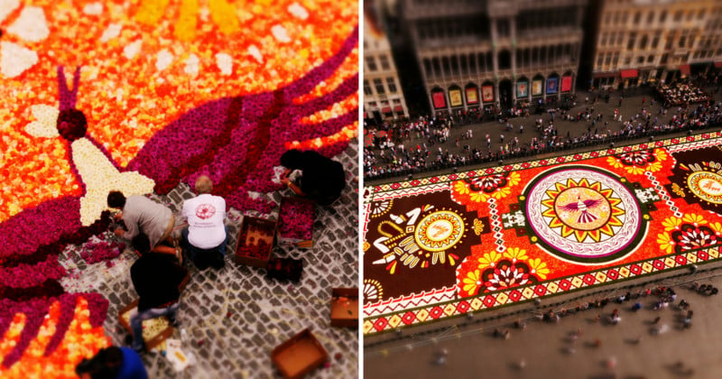 Mini Timelapse Captures the Making of the Famous Flower Carpet in Brussels