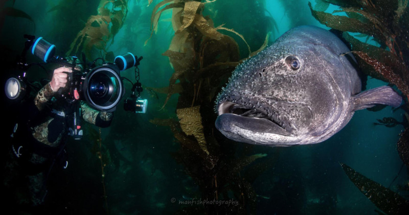 BluewaterU Offers Live Virtual Classes for Underwater Photography