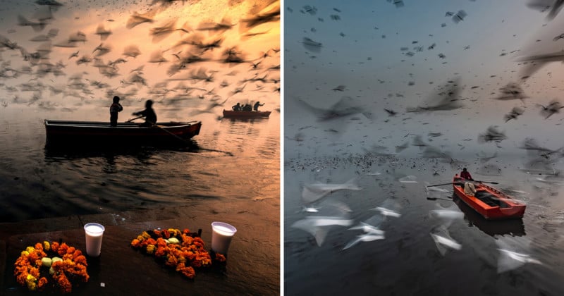Striking Long Exposures Document Life on a Holy River Though Clouds of Migratory Birds