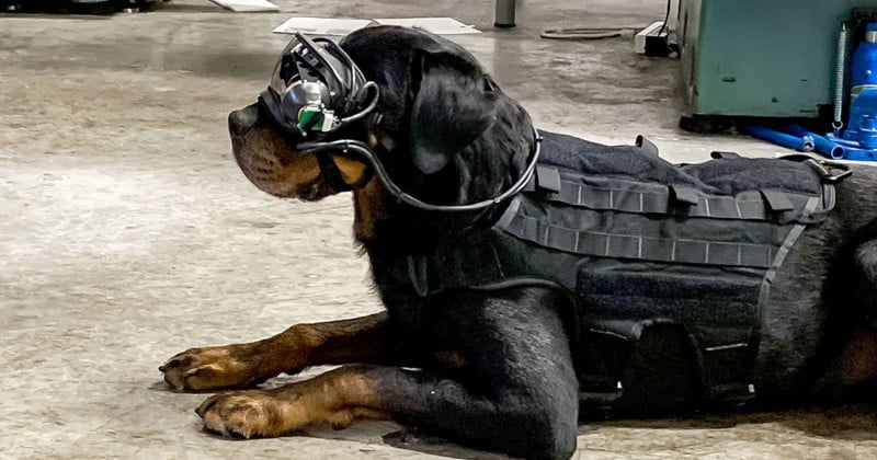 US Army Putting AR Camera Goggles on War Dogs