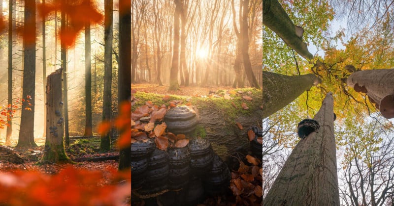 12 Tips for Autumn Photography