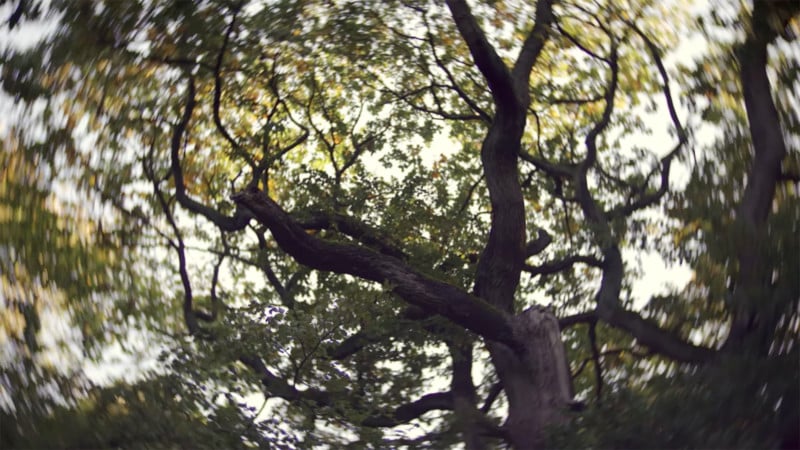 This Cheap Projector Lens Creates the Most Intense Swirly Bokeh