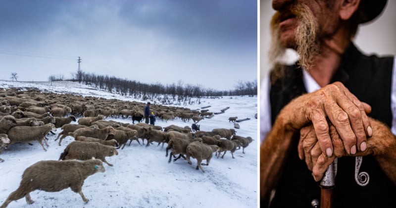 Documenting the Life and Culture of Traditional Shepherds in Hungary