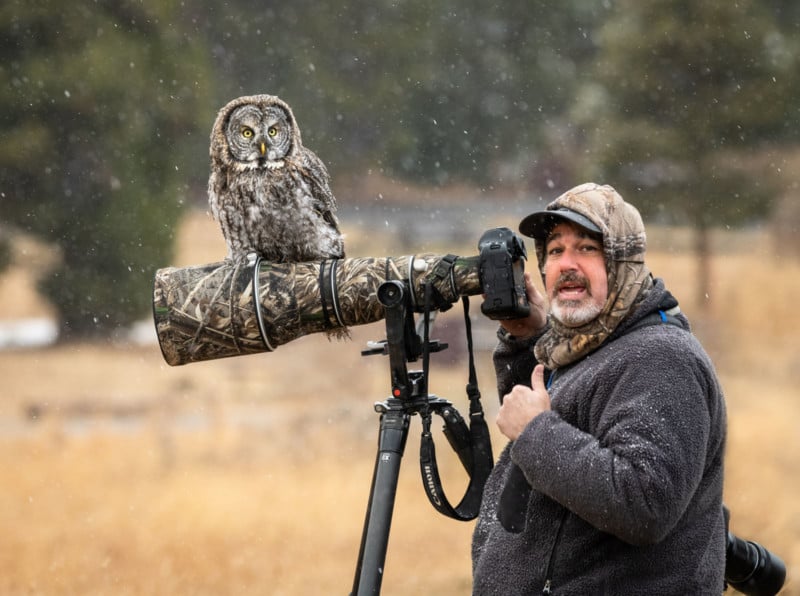  owl lands photographer lens blends perfectly 