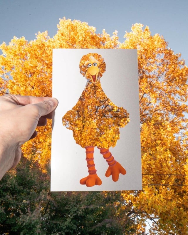  artist cleverly fills photo cutouts real-world 