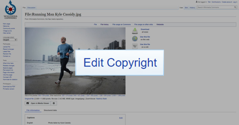  beware wikipedia photo copyright scam 