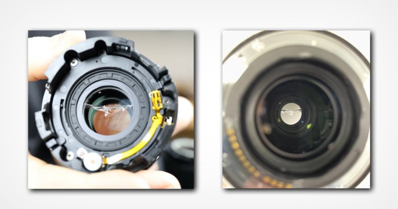 Mystery: Different Canon RF 100-500mm Lenses Similarly Cracking
