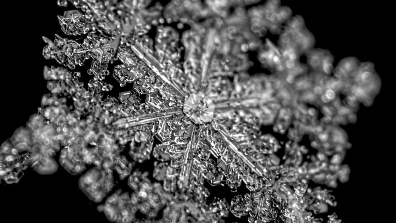 How to Easily Capture High-Detail Snowflake Photos at Home