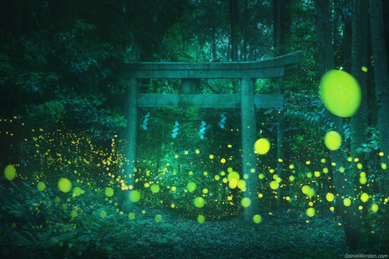  these photos fireflies japan are magical 