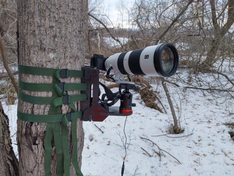 This Ultimate Camera Trap Features a Sony 200-600mm Lens