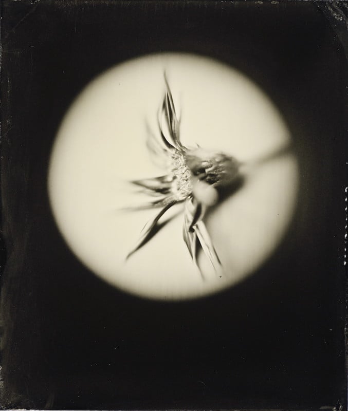 Tintypes Made Using Focusing Loupes As Lenses
