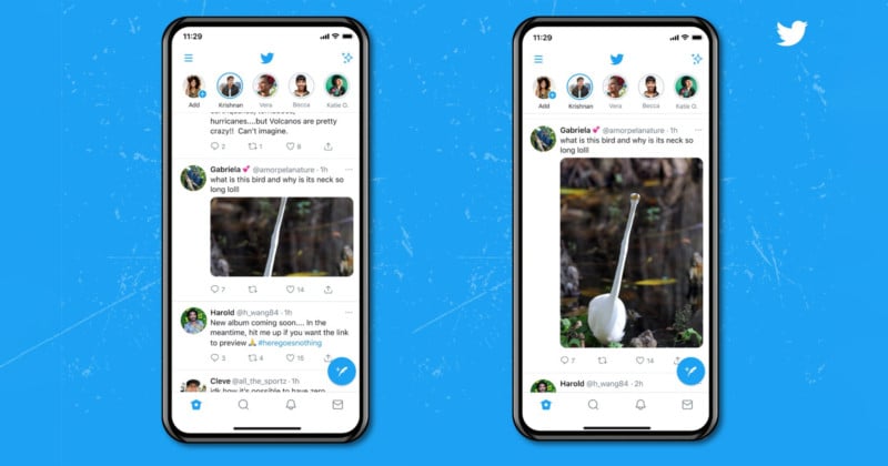 Rejoice! Twitter Finally Rolls Out Full-Size Images in Mobile Feeds