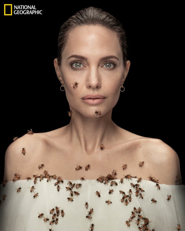  angelina jolie photographed covered bees support conservation 
