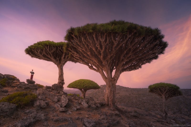 Gorgeous Photos of Socotra, The Most Alien-Looking Place on Earth