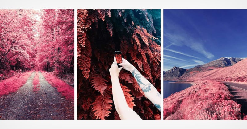 VSCO Launches New Set of Filters that Simulate Infrared Photography