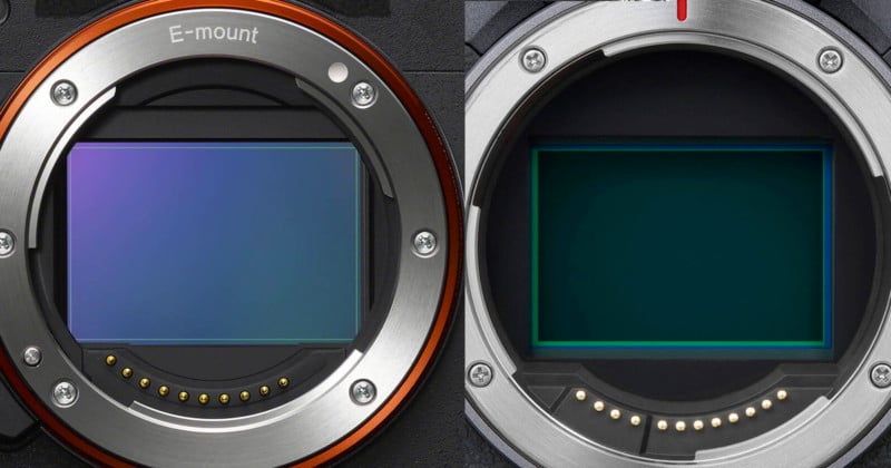 Canon R5 Beats Out the Sony Alpha 1 in Comprehensive IBIS Test