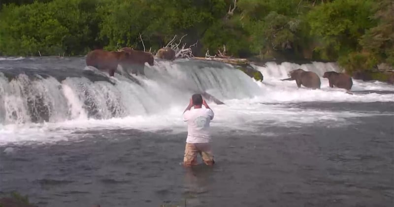 Man Busted Getting Into Water with Grizzlies for Photos