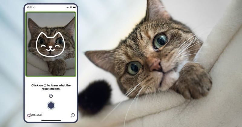 Tably is an AI Camera App That Reveals Your Cats Mood