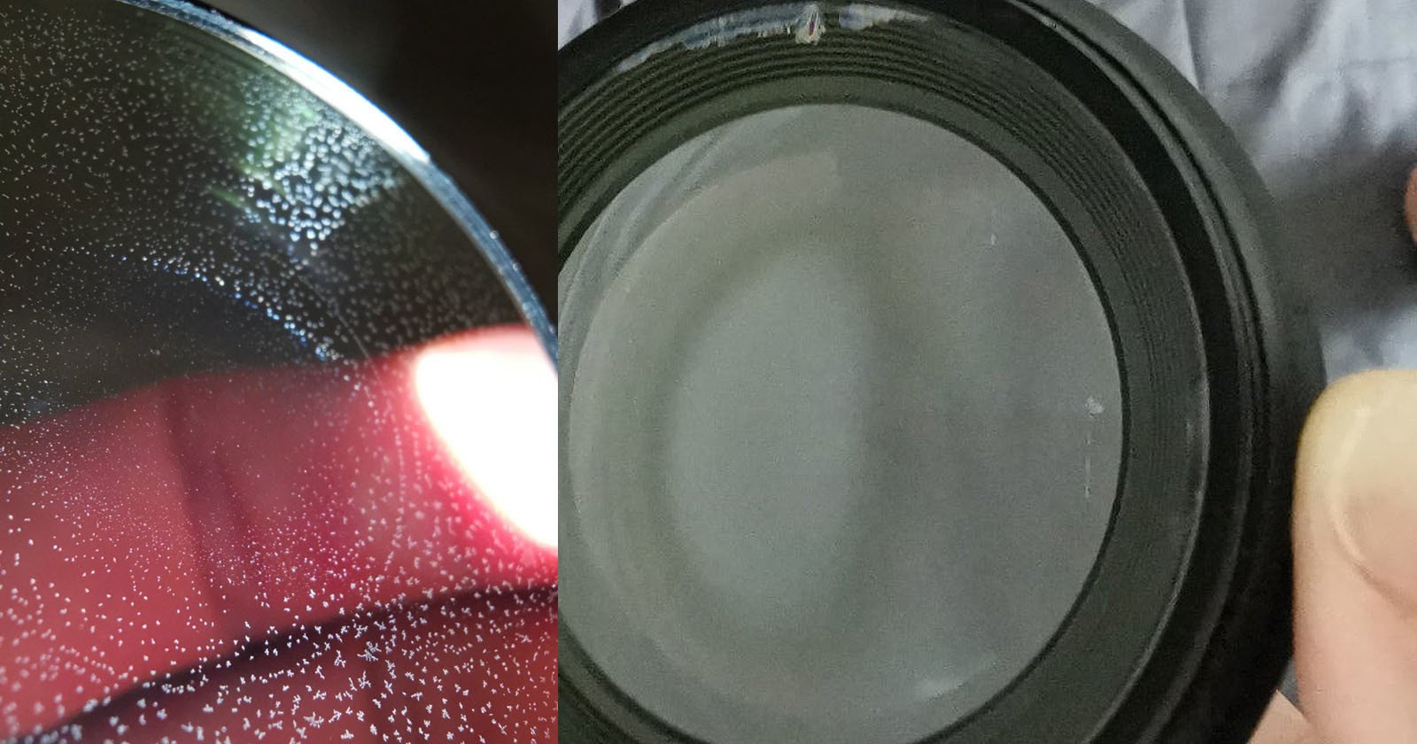  how remove fungus between glued camera lens elements 