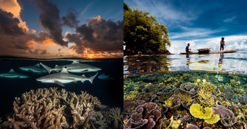 Photographer Captures Beautiful Split Photos Above and Below the Sea
