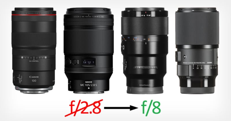 Dear Lens Makers: Please Make Slower, Longer, Lighter Macro Lenses