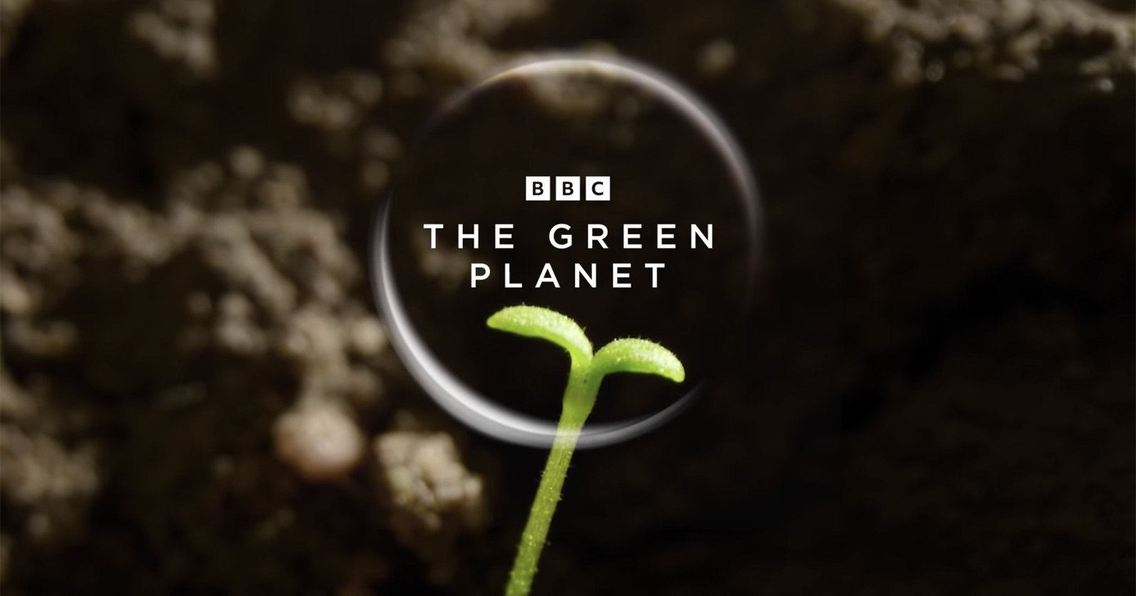  how bbc earth brought plants life 