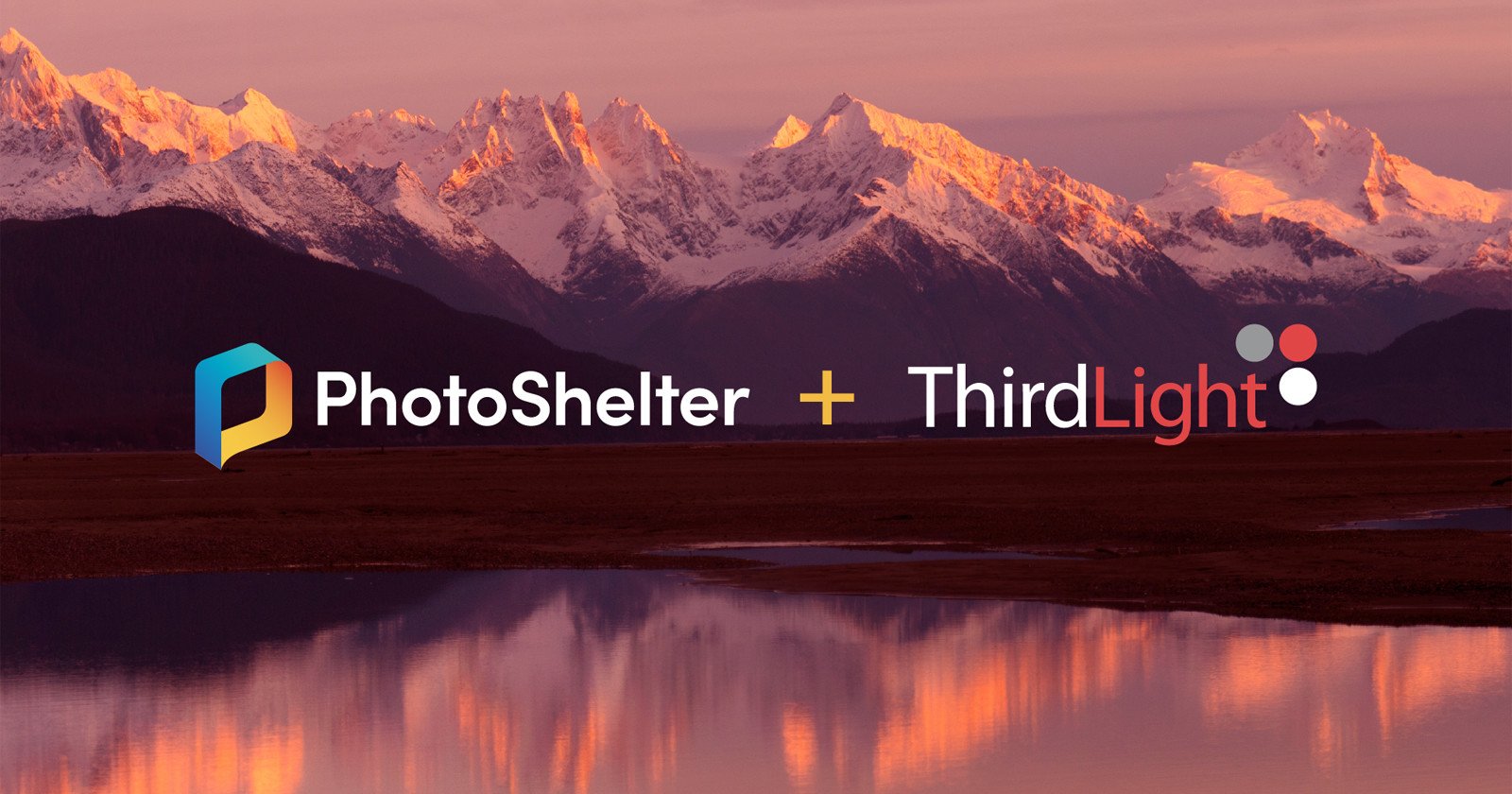  photoshelter acquires third light add more data management 