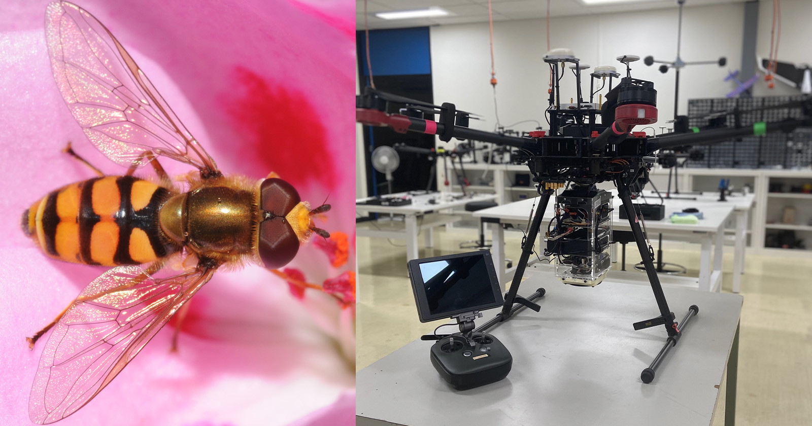  researchers build long-range drone detection mapping bug brain 