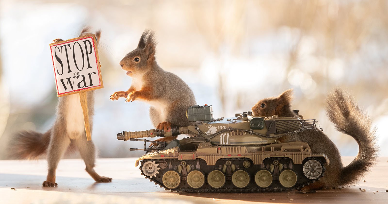  photographer shoots anti-war squirrel photos message peace 