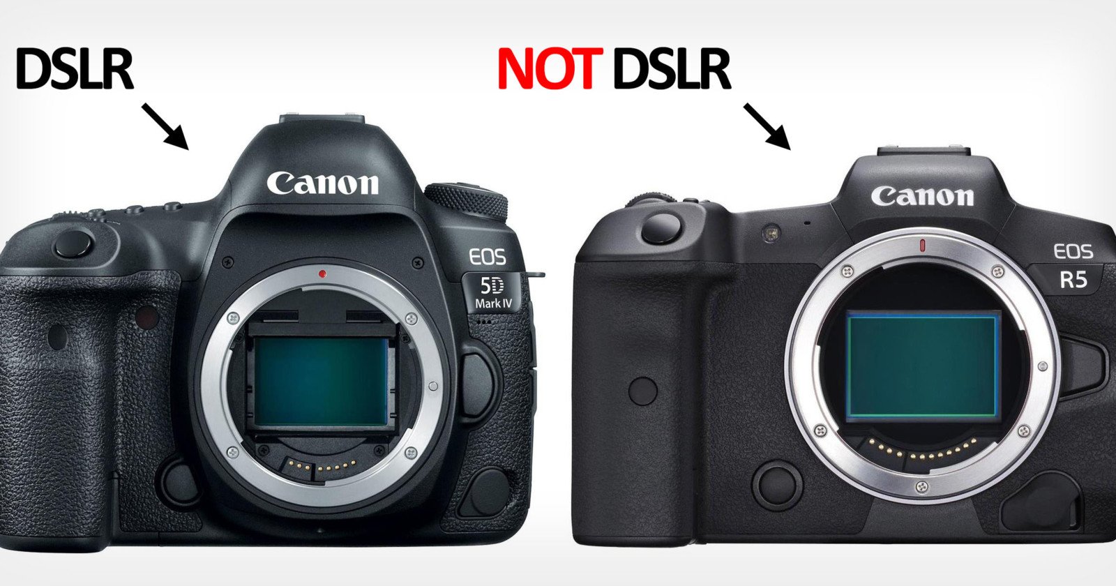 People Have No Idea What a DSLR Actually Is