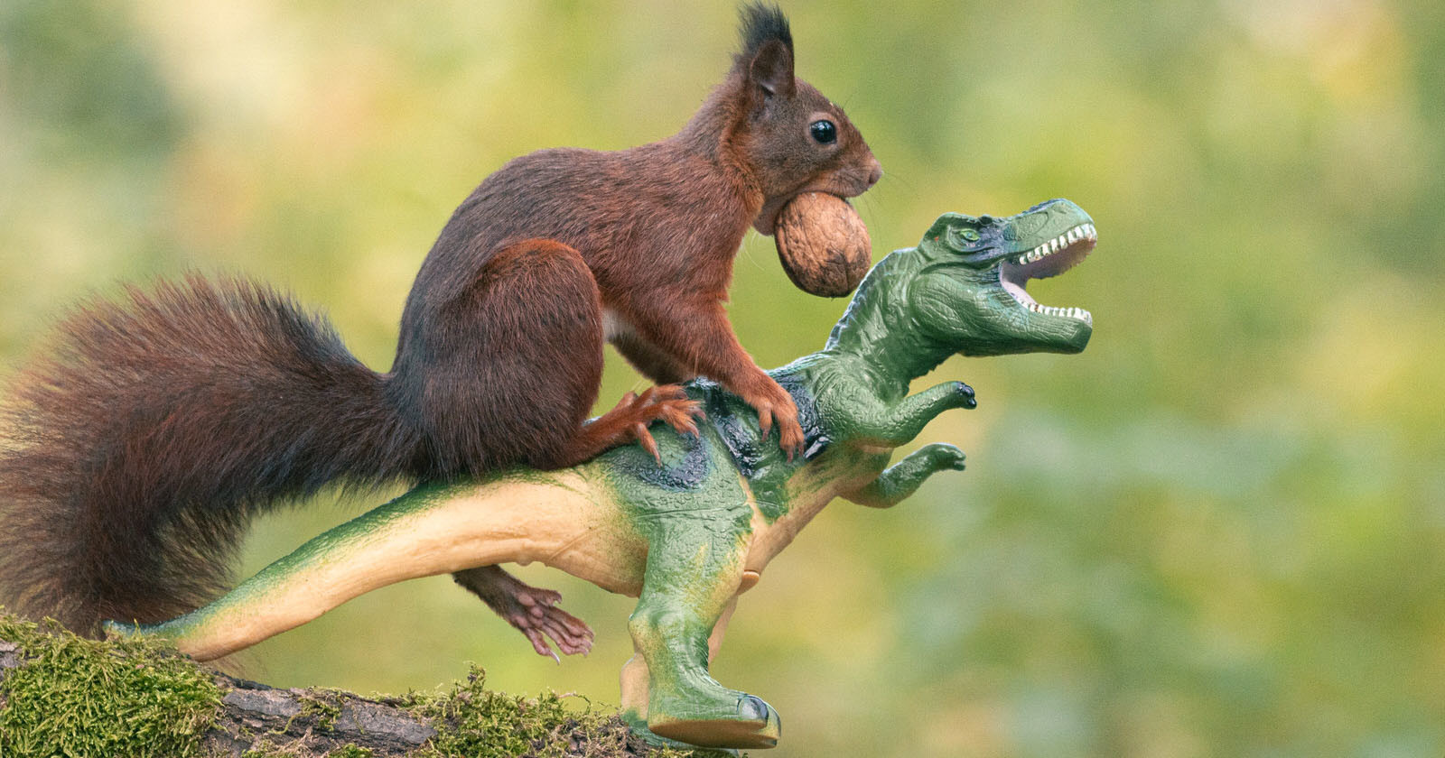 Photographer Captures Squirrels Playing with Dinosaurs