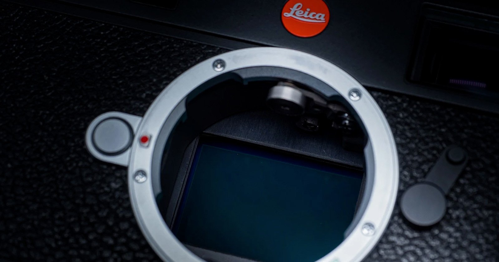 DXOMark Ranks the Leica M11 in the Top 5 of All Full-Frame Sensors