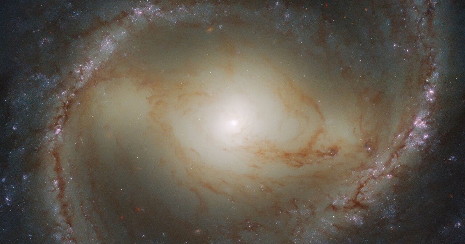 You Can See What Hubble is Photographing in Real Time