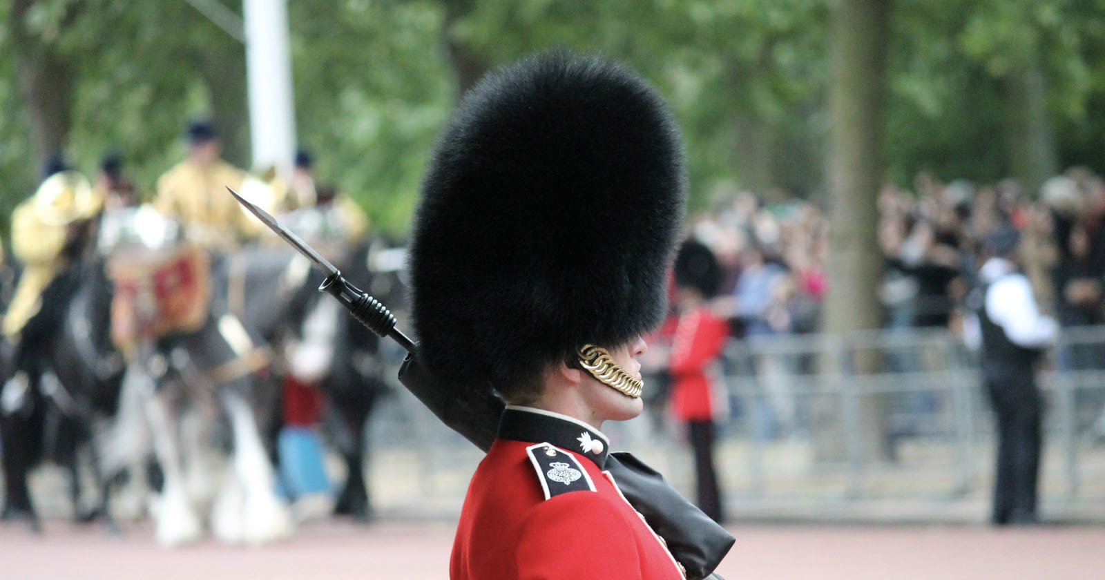 Wildlife Photographers Call on Queens Guard to Stop Using Bearskins