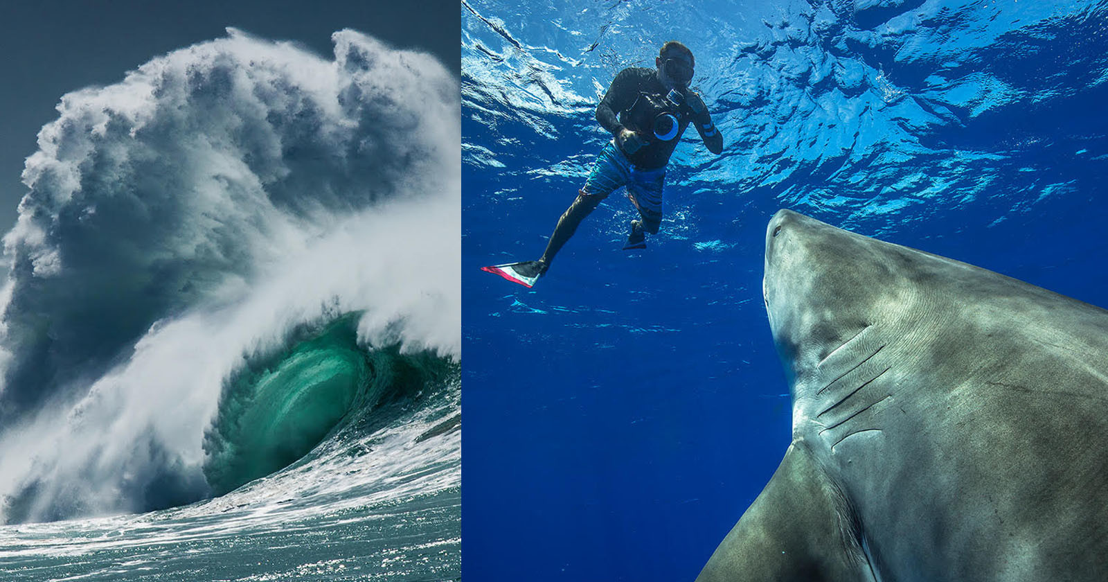  art waves lifetime awe-inspiring surf photographs 