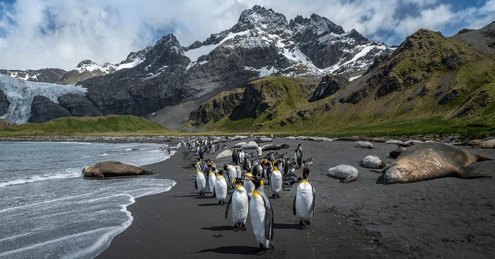 Photographing Antarctica: Penguins, Seals, and a Total Solar Eclipse