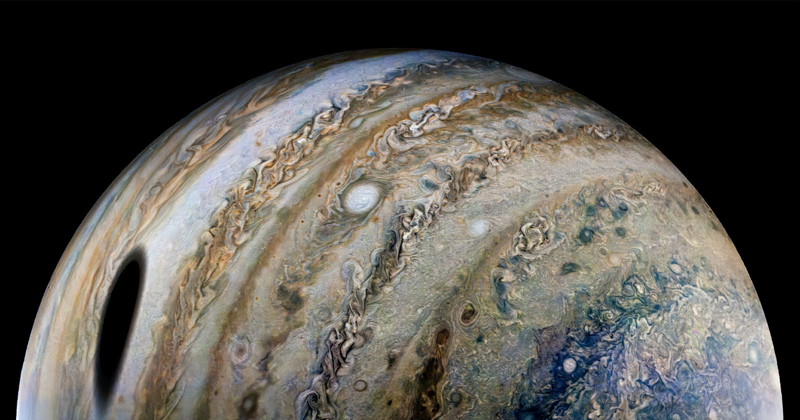 NASA Wants Your Help Analyzing the Juno Probes Photos of Jupiter